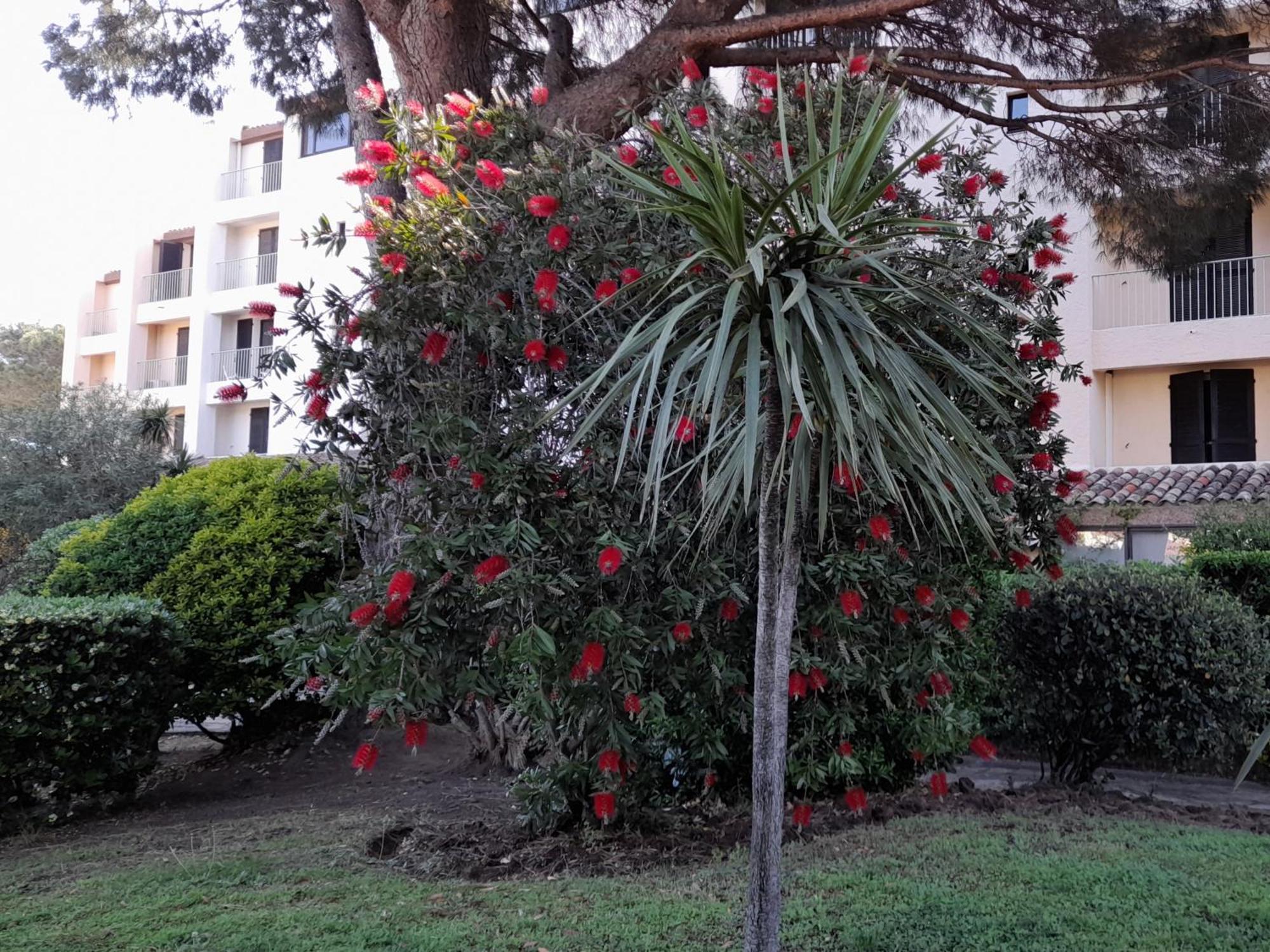 Marina Bella Appartement Cogolin Buitenkant foto